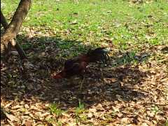 201302 Chiang Mai47